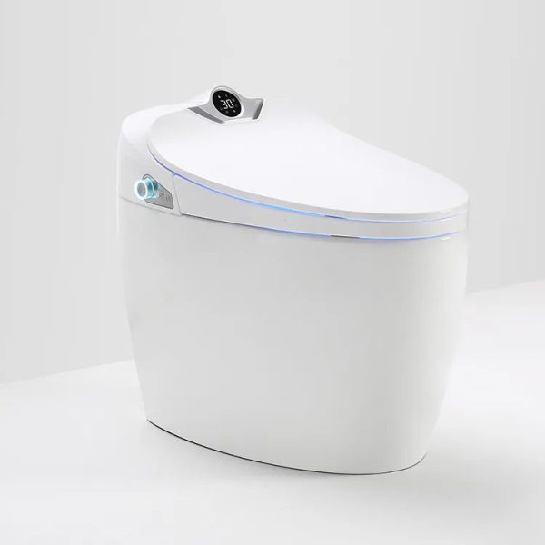 BỒN CẦU THÔNG MINH Q10